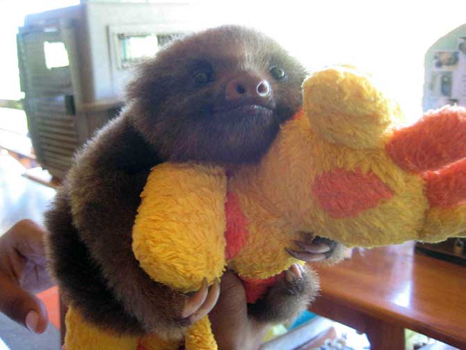 'TTT 334: Cuddle Up'