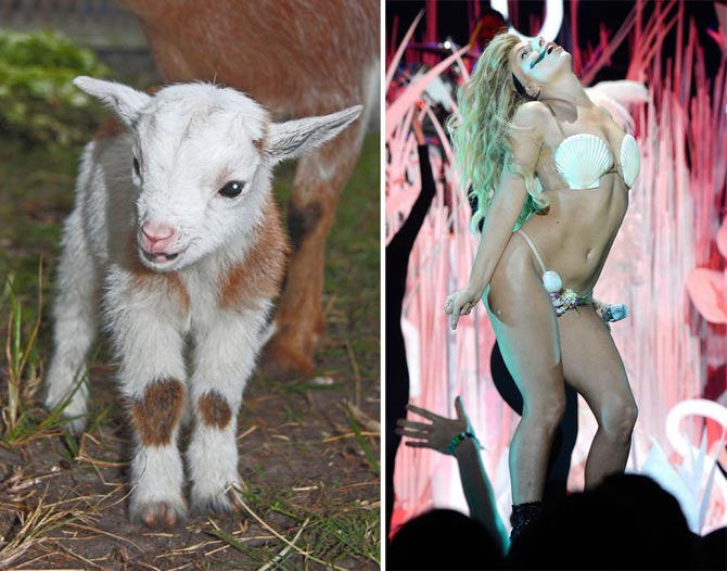 'TTT 361: Best Podcast Ever!'