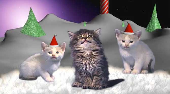'TTT 331: Christmas Bizness'